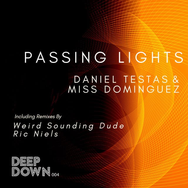 Passing Lights - Ric Niels Remix cover art