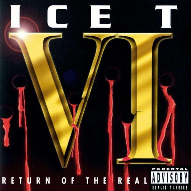 VI: Return of the Real cover art