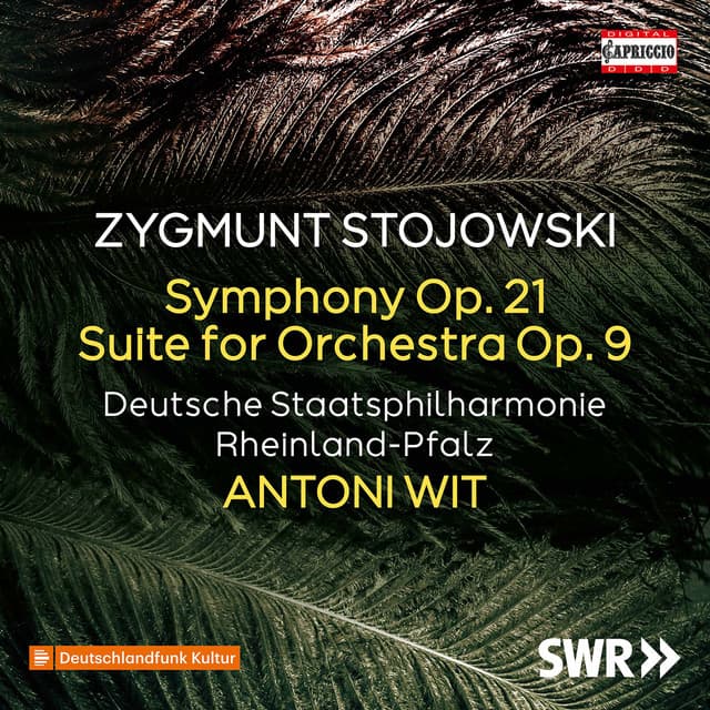 Symphony in D Minor, Op. 21: II. Andante cover art