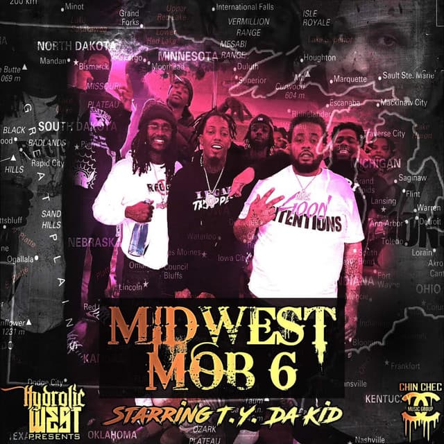 Steppin cover art