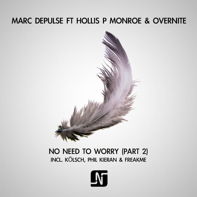 No Need to Worry - Freakme Remix cover art