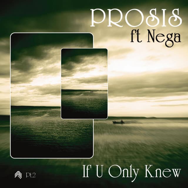 If U Only Knew (Dj Saint & Xiasou Remix) cover art
