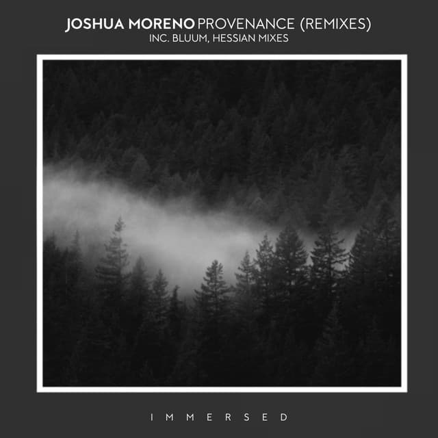 Point of Renewal - Hessian Remix cover art