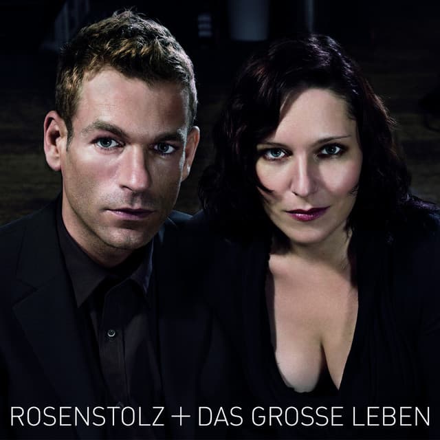 Das grosse Leben cover art