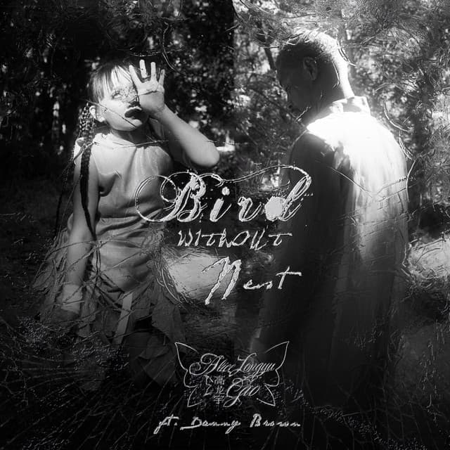 Bird W/O Nest (feat. Danny Brown) cover art
