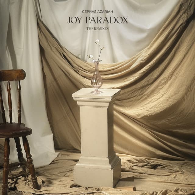 Joy Paradox (The Remixes) cover art