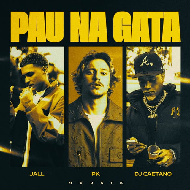 Pau na Gata - Remix cover art