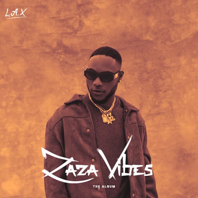 ZaZa Vibes cover art