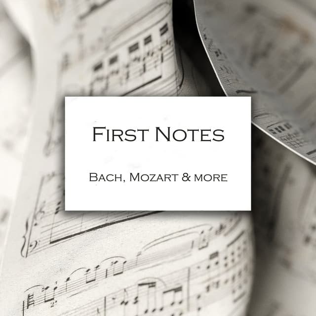 Andante & 5 Variations for Piano 4 Hands, K. 501: Thema. Andante cover art