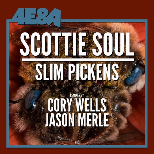 Slim Pickens - Jason Merle Remix cover art