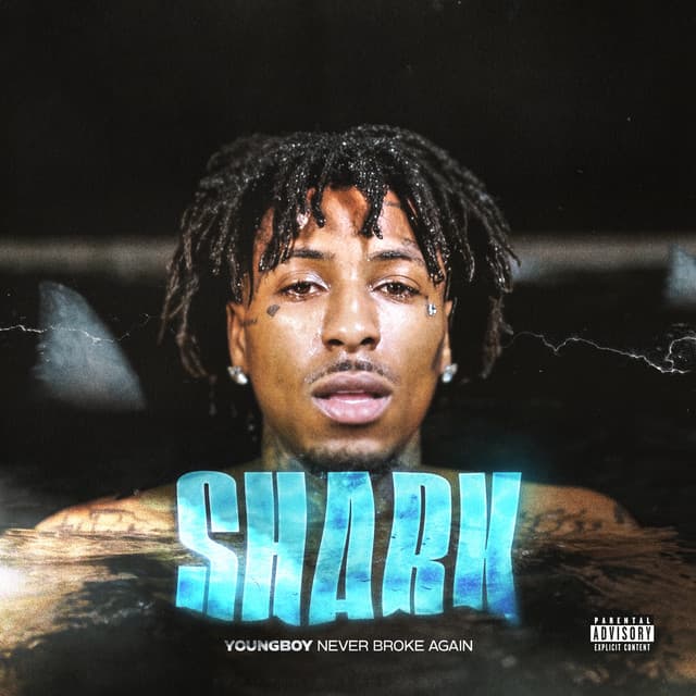 Shark cover art