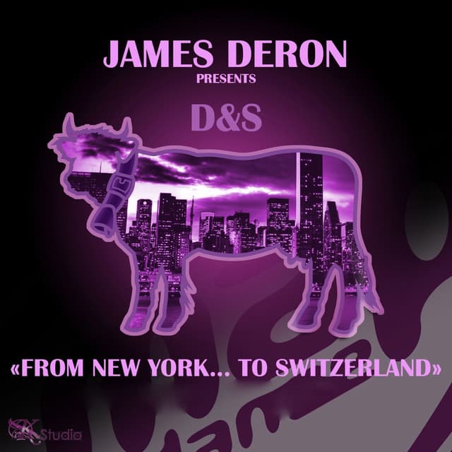 From New York to Switzerland cover art