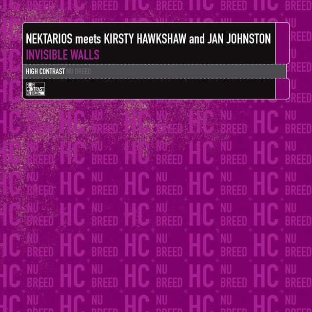 Invisible Walls - Accuface ‘Back 2 the Roots’ Remix cover art