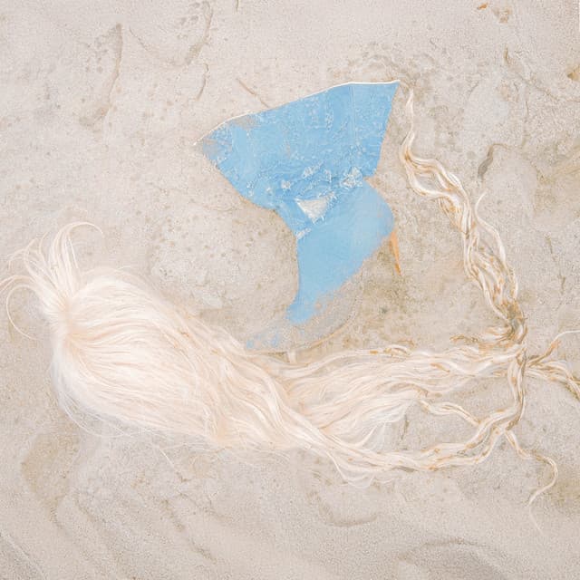 Swedish Mermaid (Rebecca & Fiona Remix) - Radio Edit cover art