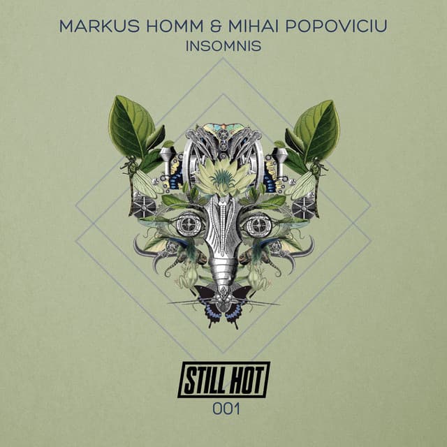 Insomnis cover art