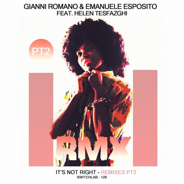It's Not Right - Bass Fly Remix cover art