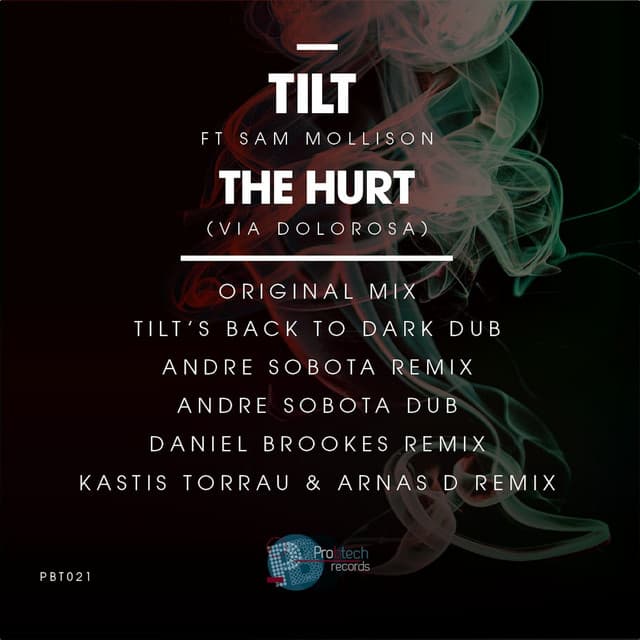 The Hurt feat. Sam Mollison - Kastis Torrau & Arnas D Remix cover art