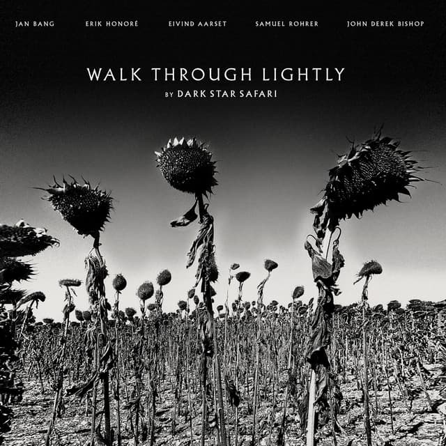 Walk Through Lightly cover art