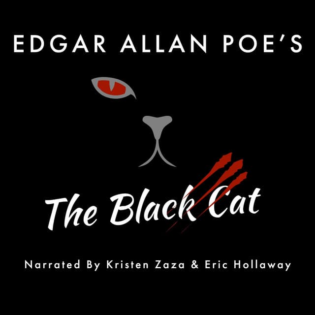 The Black Cat cover art