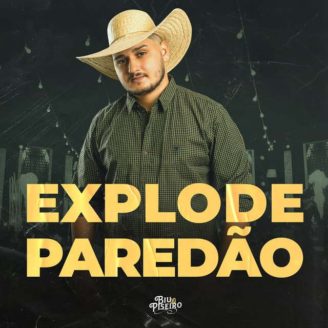 Vulgo Malvadão (feat. mc jhenny) - Ao Vivo cover art