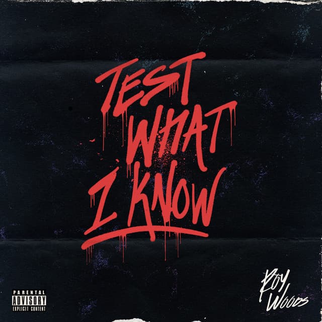 Test What I Know cover art