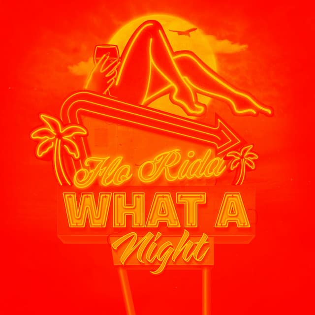 What A Night - Euro Funk Party cover art