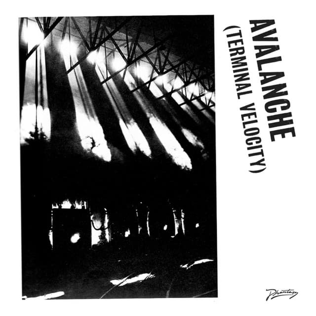 Avalanche (Terminal Velocity) - Canblaster Remix cover art