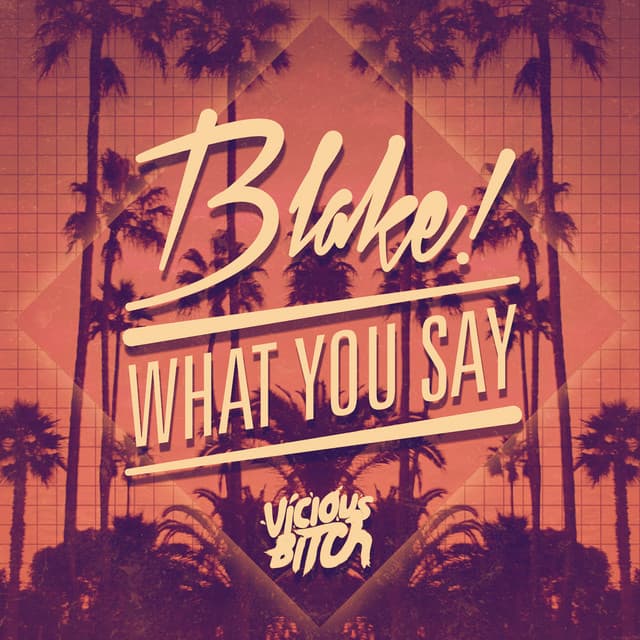 What You Say - The Squatters Remix cover art