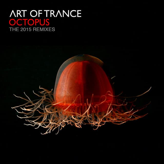 Octopus - Gai Barone's Gallery Remix cover art
