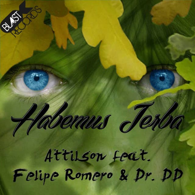 Habemus Jerba - Original Mix cover art