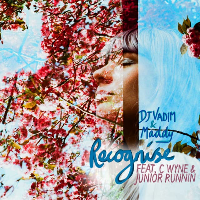 recognise cover art