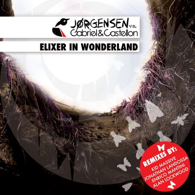 Elixer in Wonderland - Rabbit Hole Mix cover art
