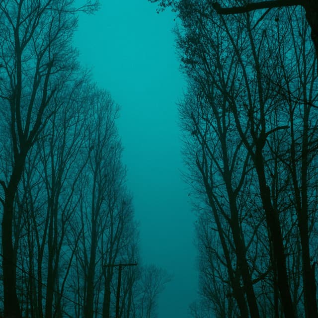 Movement VI cover art