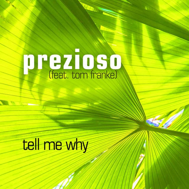Tell Me Why (Club Mix Edit) cover art