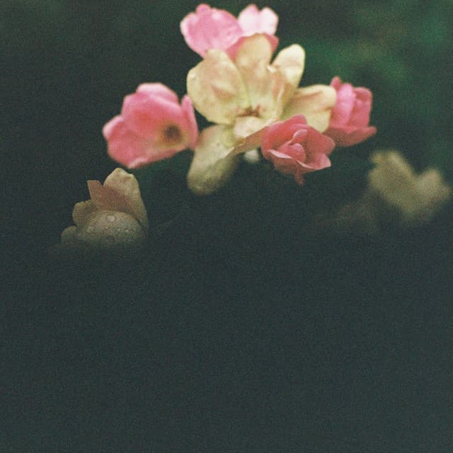 Breath As Love cover art
