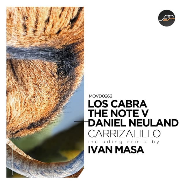 Carrizalillo cover art