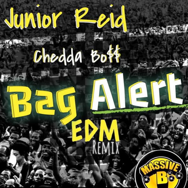 Bag Alert (EDM Remix) cover art