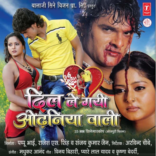 Dil Le Gai Odhaniya Wali cover art