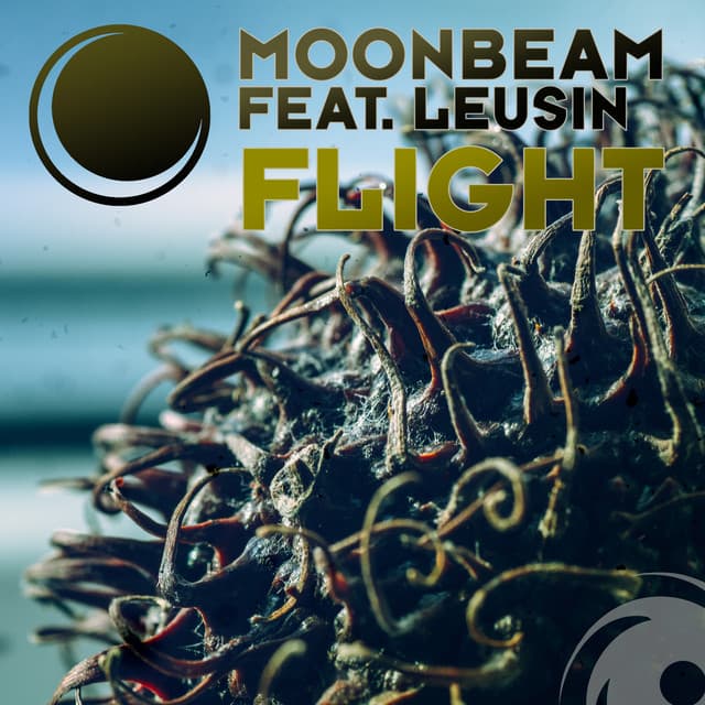 Flight - Club Mix cover art