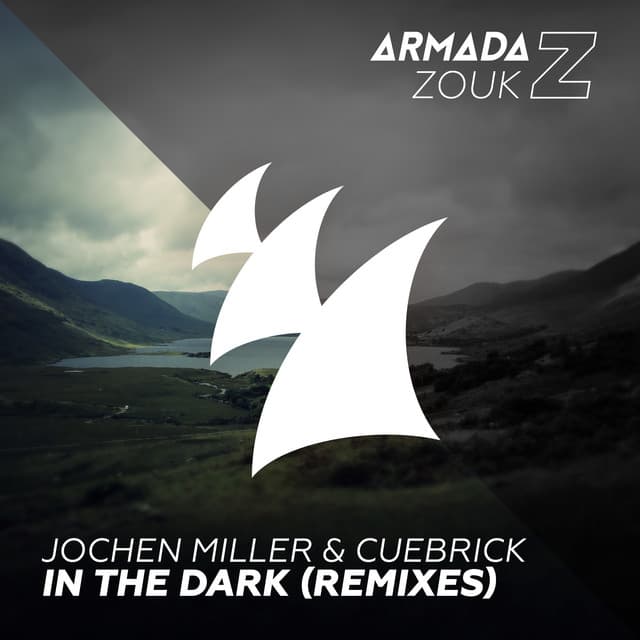 In The Dark - Wild Culture Remix cover art