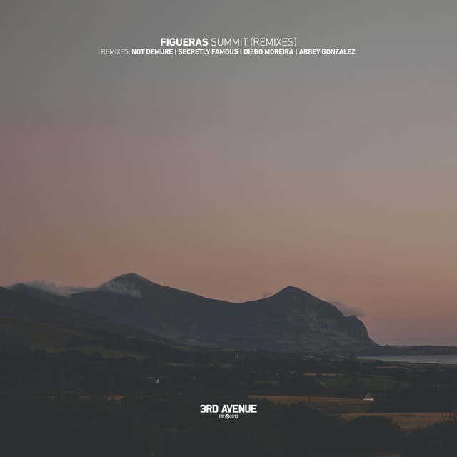 Walking in Circles - Diego Moreira Remix cover art
