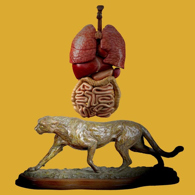 can sex me cover art