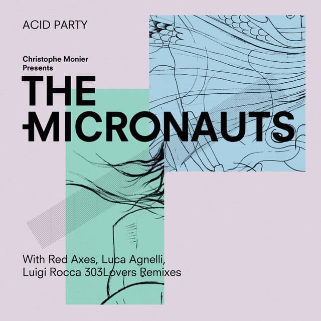 Acid Party - Luigi Rocca 303Lovers Remix cover art