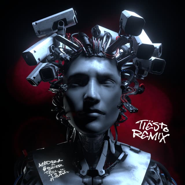 Tell It To My Heart (feat. Hozier) - Tiësto Remix cover art