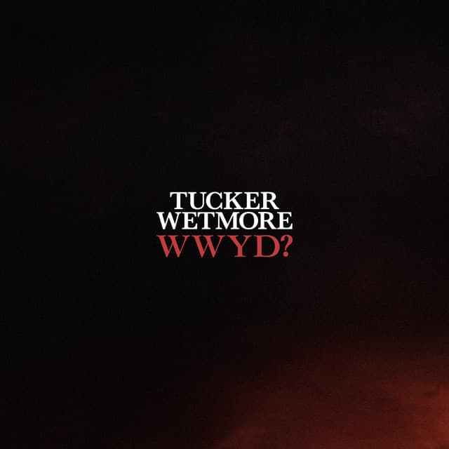 What Would You Do? cover art