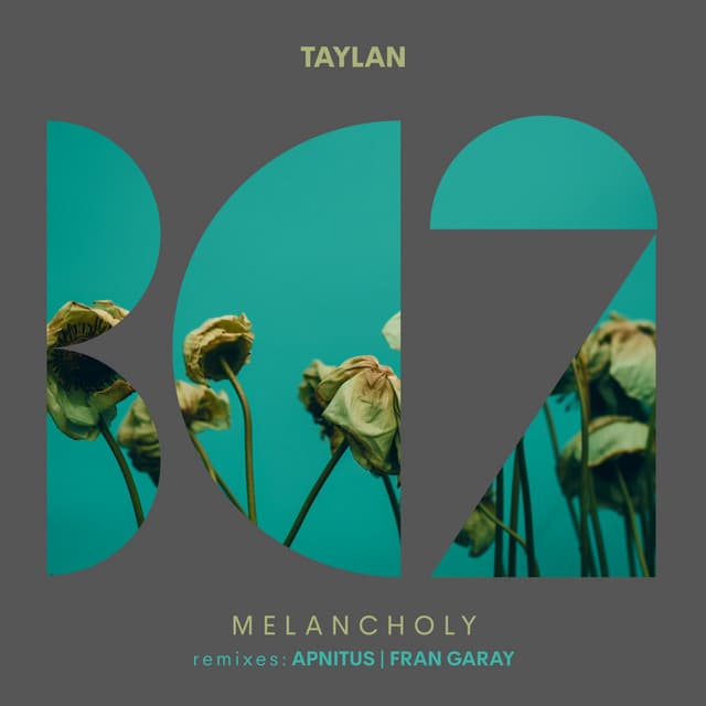 Melancholy - Apnitus Remix cover art