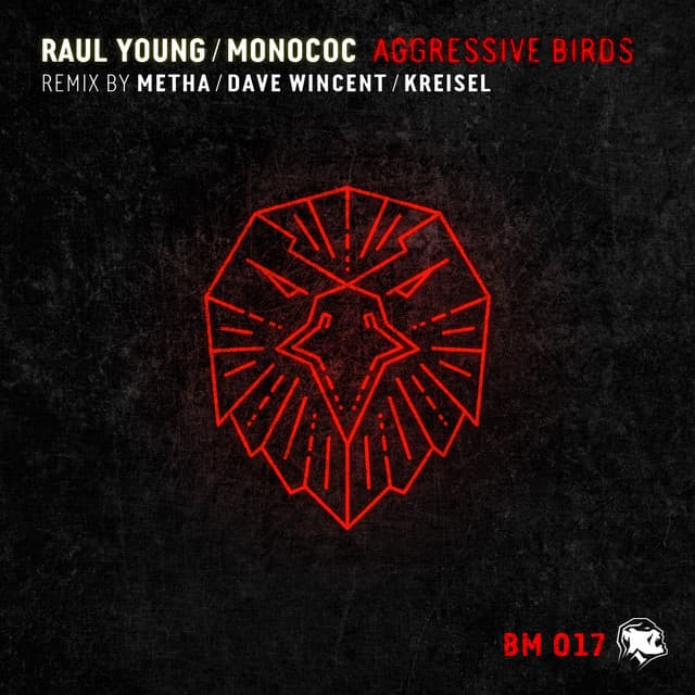 Aggressive Birds - Original Mix cover art