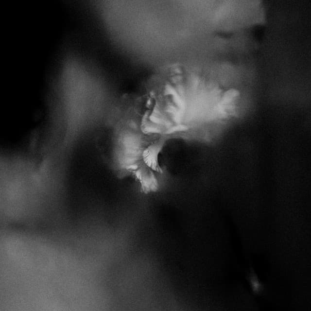 Holding Absence cover art