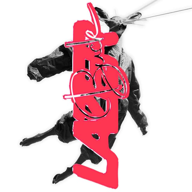 ARD M8 cover art