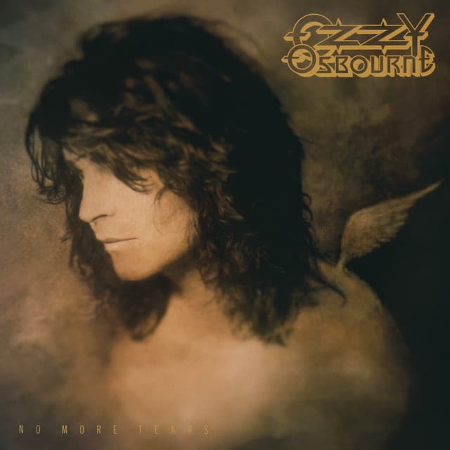 No More Tears (30th Anniversary Expanded Edition) cover art